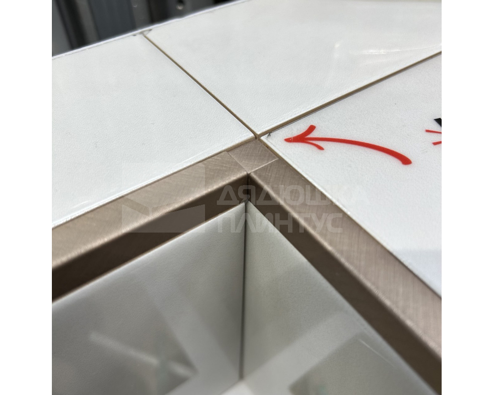 Профиль окантовочный Genesis ESA 100.91 10 х 2500 мм глянец серебро