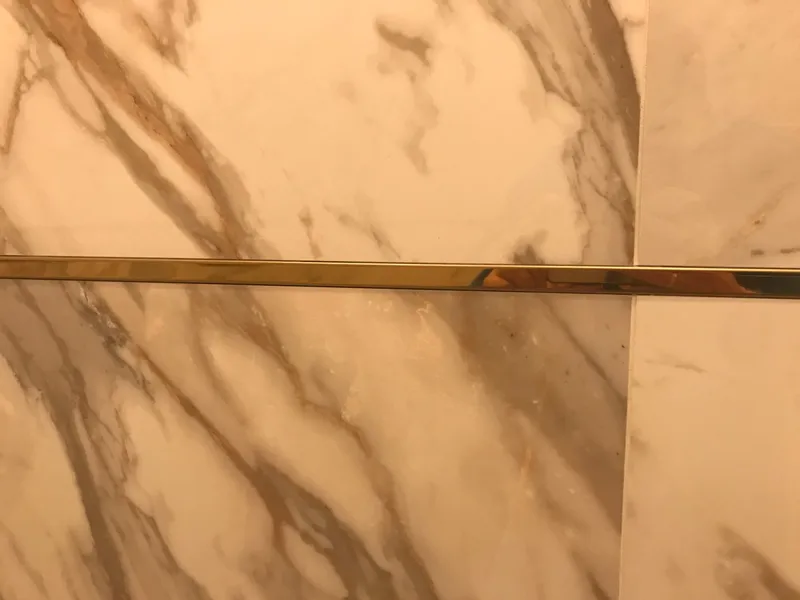 Профиль разделительный ПП 01-10НСП.2700.001 полированный