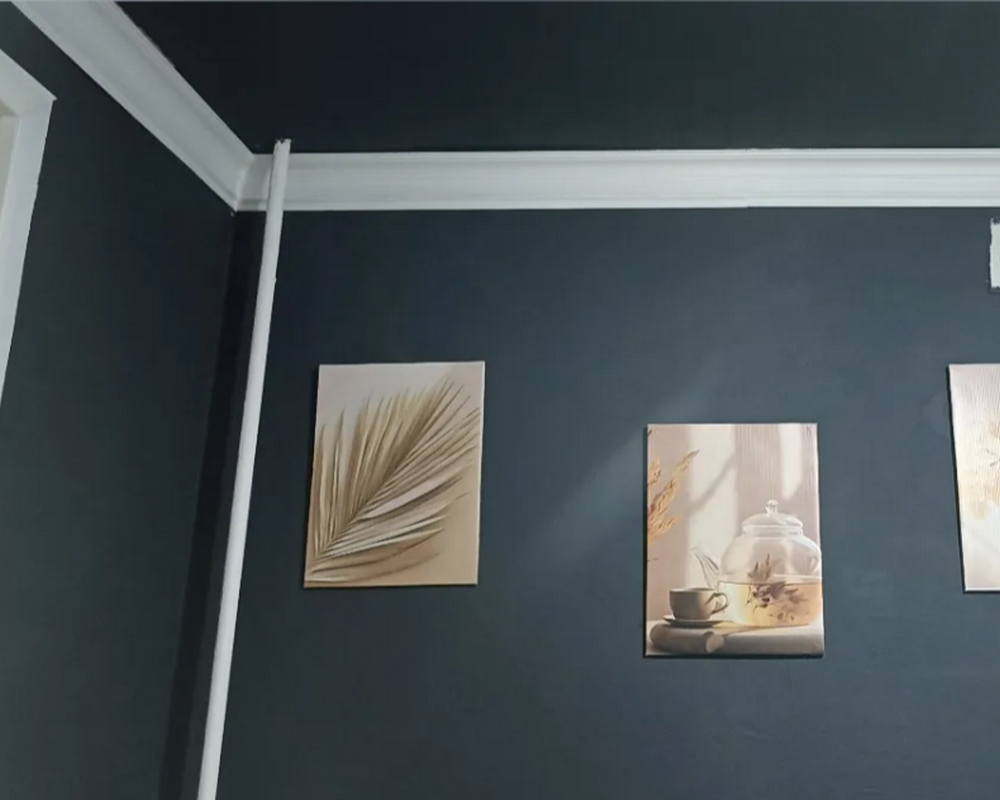 Карниз потолочный из полистирола высокой плотности NMC WT14 75*50*2000. Окраска включена в стоимость